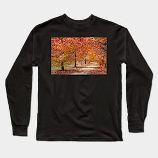 Autumn Pathway Long Sleeve T-Shirt